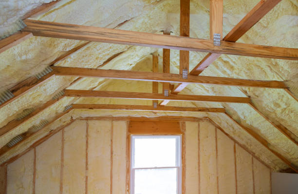 Best Residential Insulation in Petoskey, MI